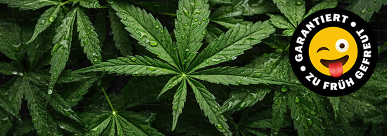 Cannabis